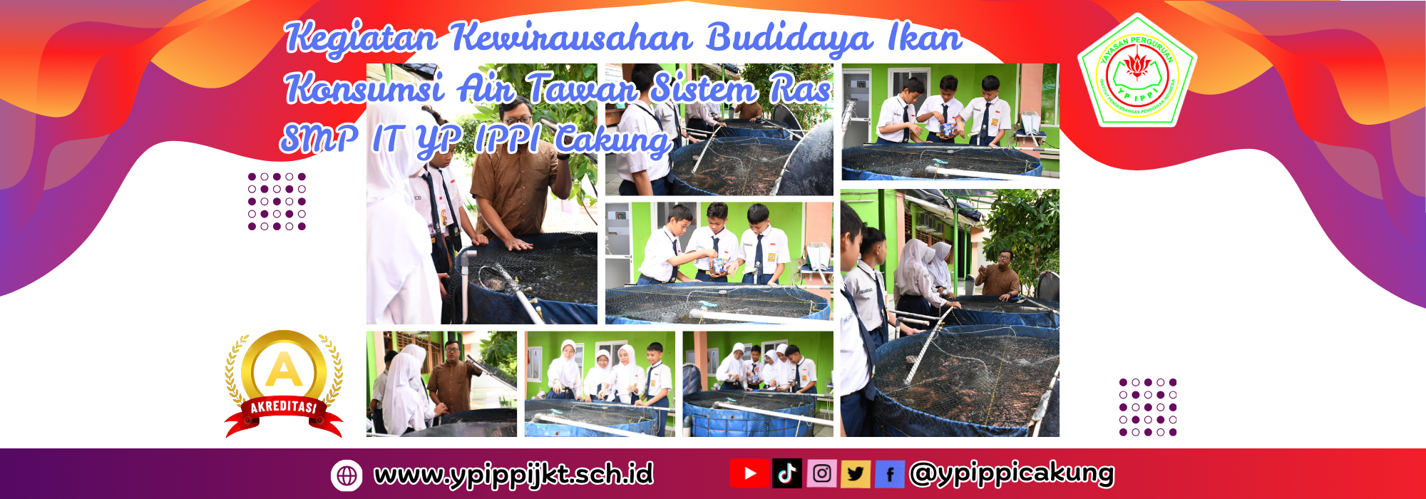 Kegiatan Budidaya Ikan Konsumsi Air Tawar Sistem Ras